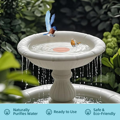Qi propitious copper disk adds durability to outdoor bird bath setup.