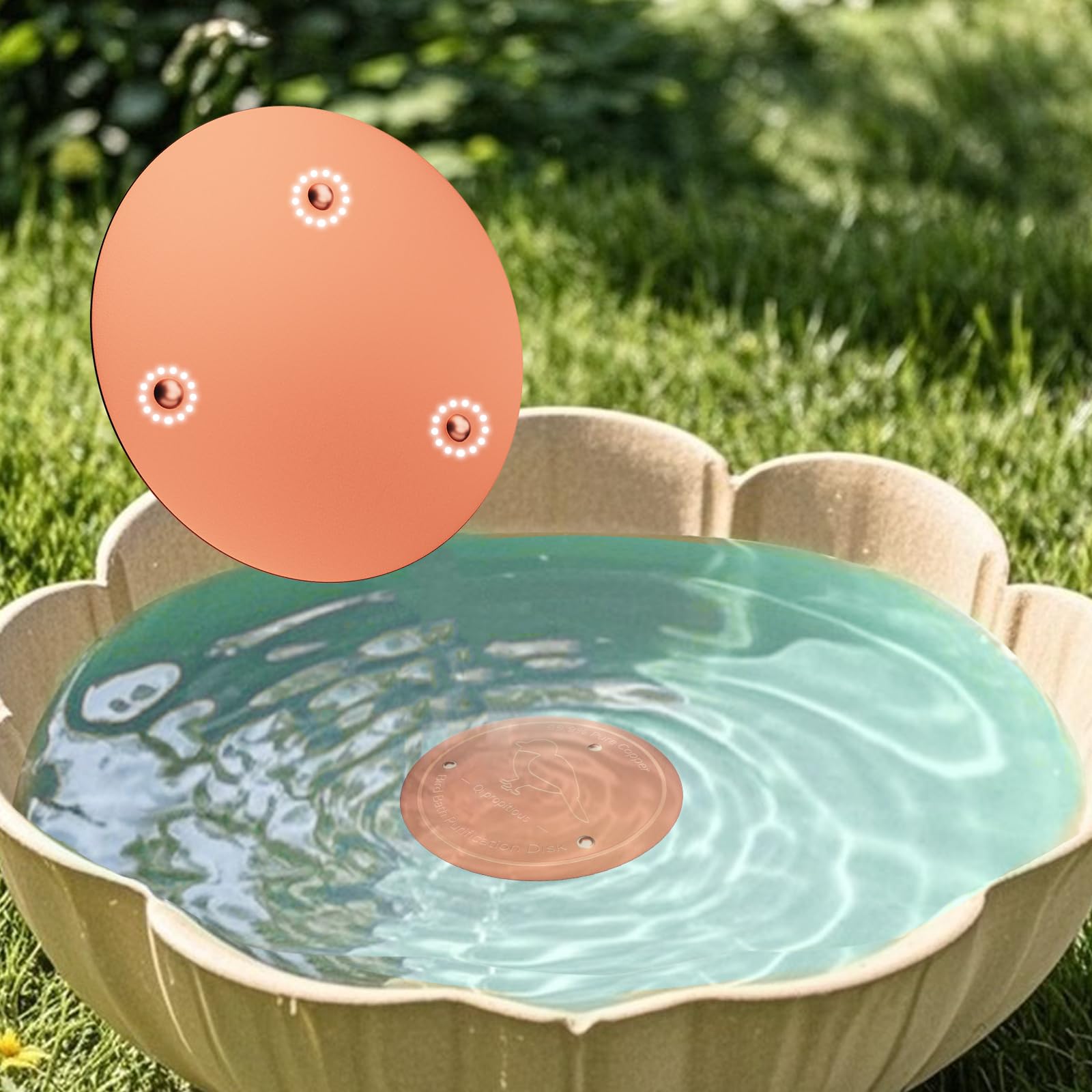 Qi propitious copper disk in birdbath with stable triple-point support.