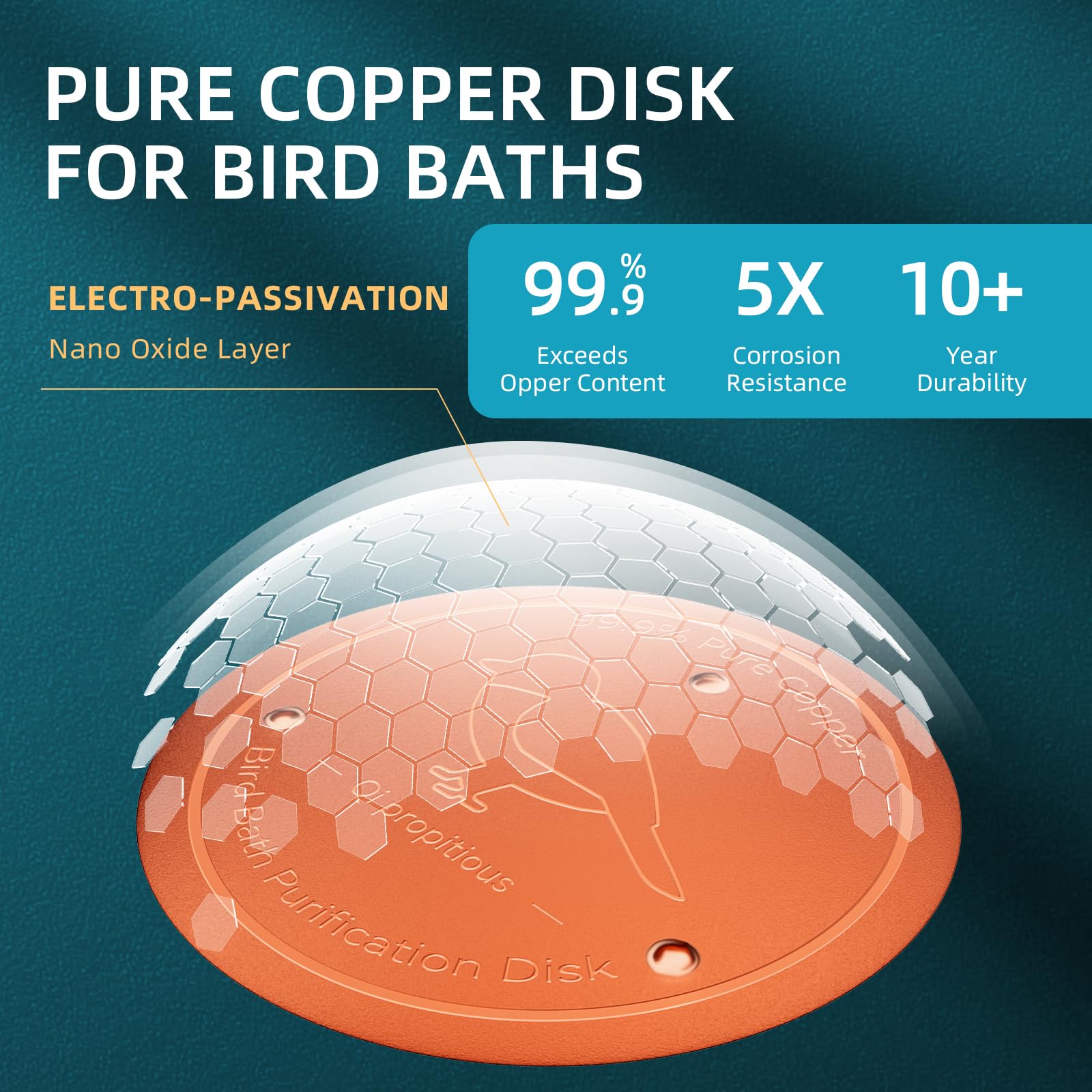 Qi propitious copper disk outdoors designed for all-season use.