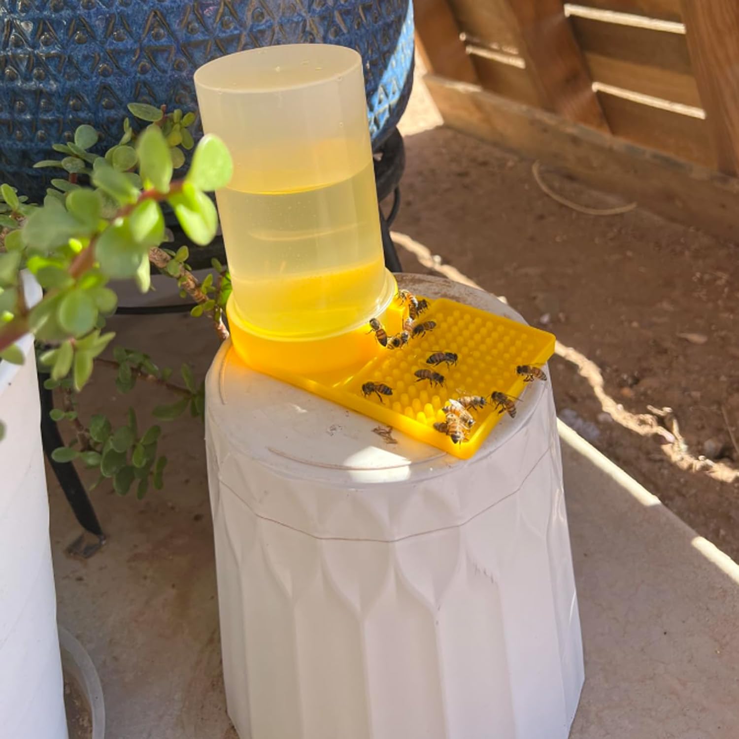 Qicfrk bee bath water feeder bowl provides a dedicated drinking space.