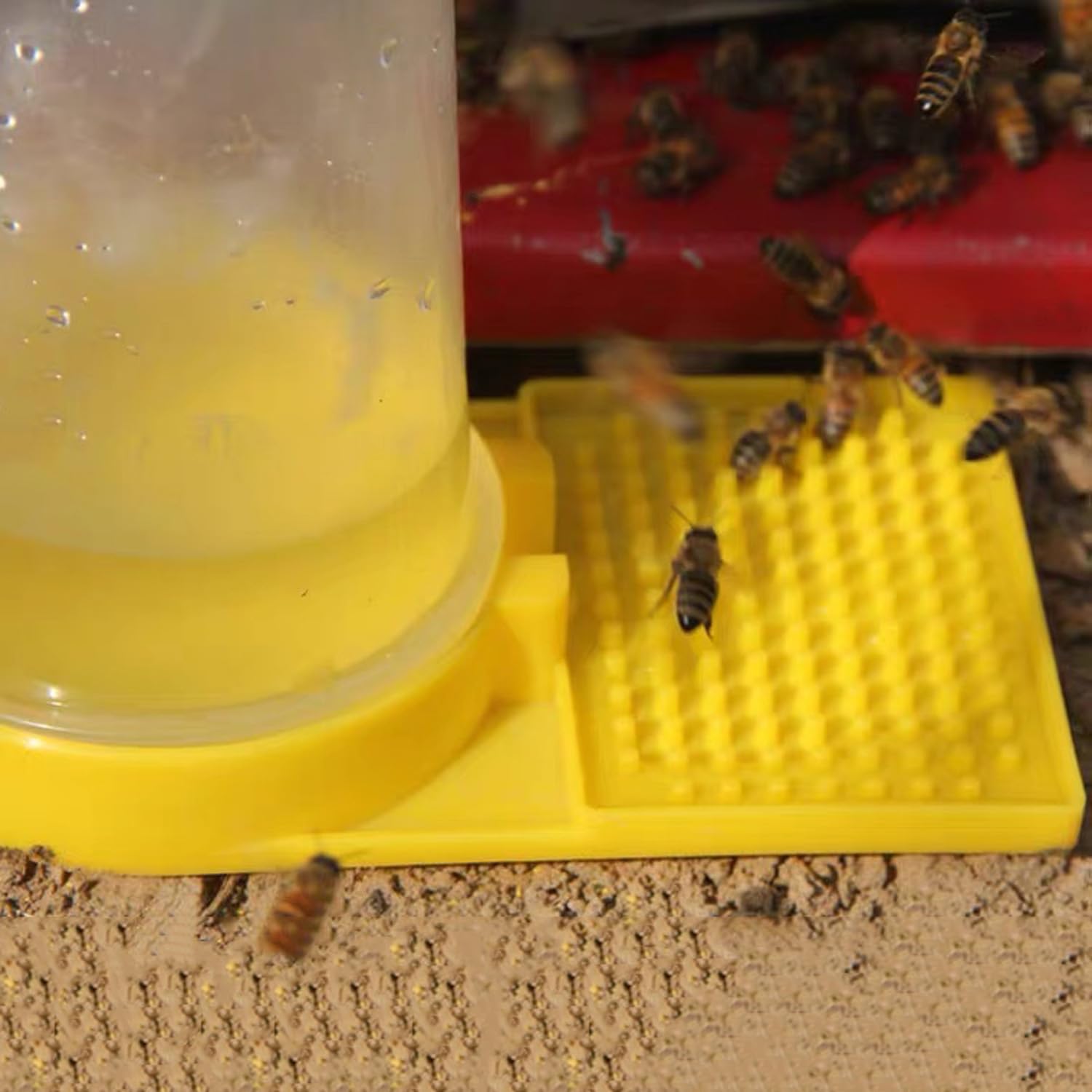 Qicfrk outdoor garden bee water station suitable for yards.