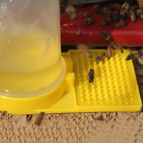 Qicfrk outdoor garden bee water station suitable for yards.