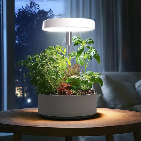 Qicodu grow light compact desk-shelf setup for home or office