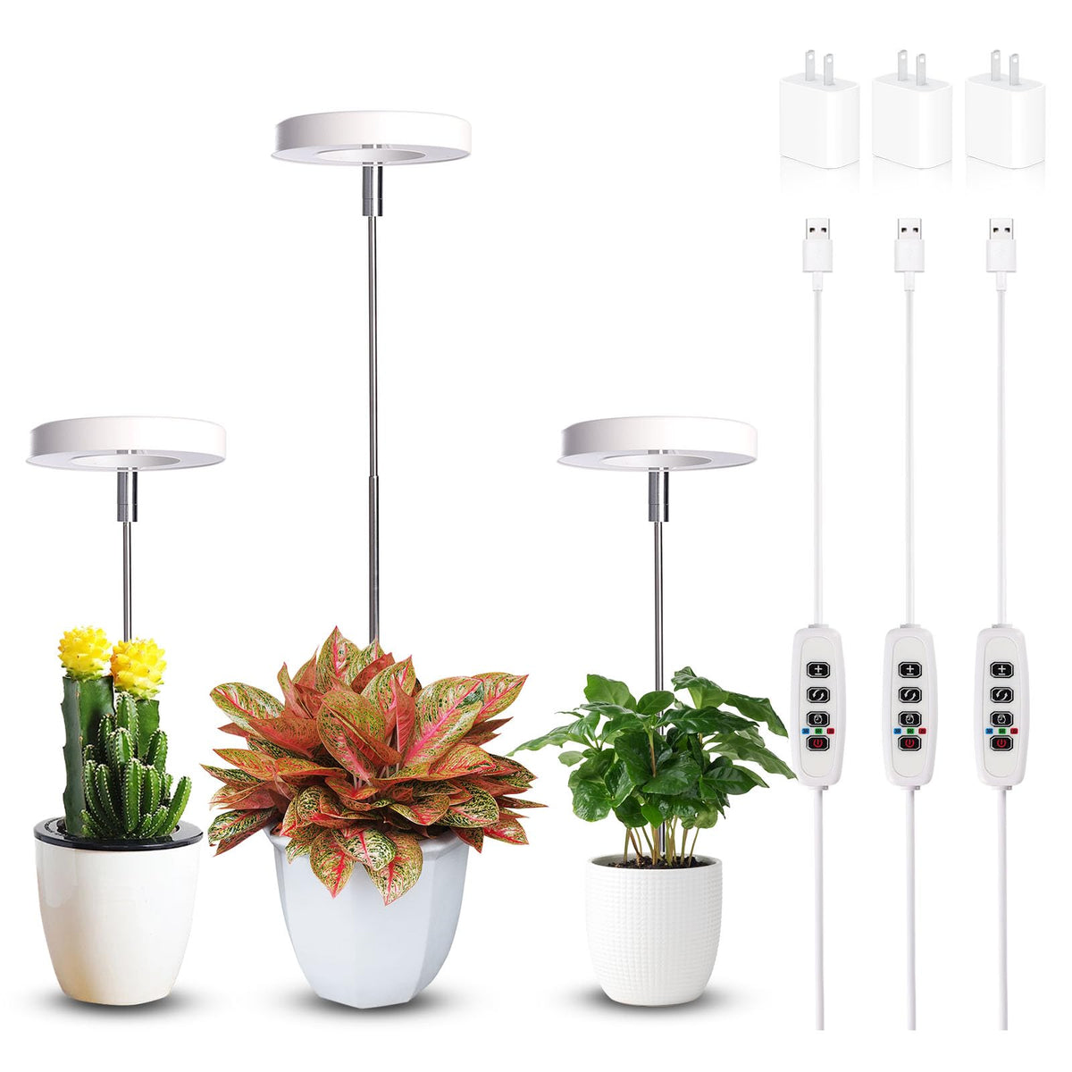 Qicodu grow light full spectrum brightening a small potted plant for healthy growth