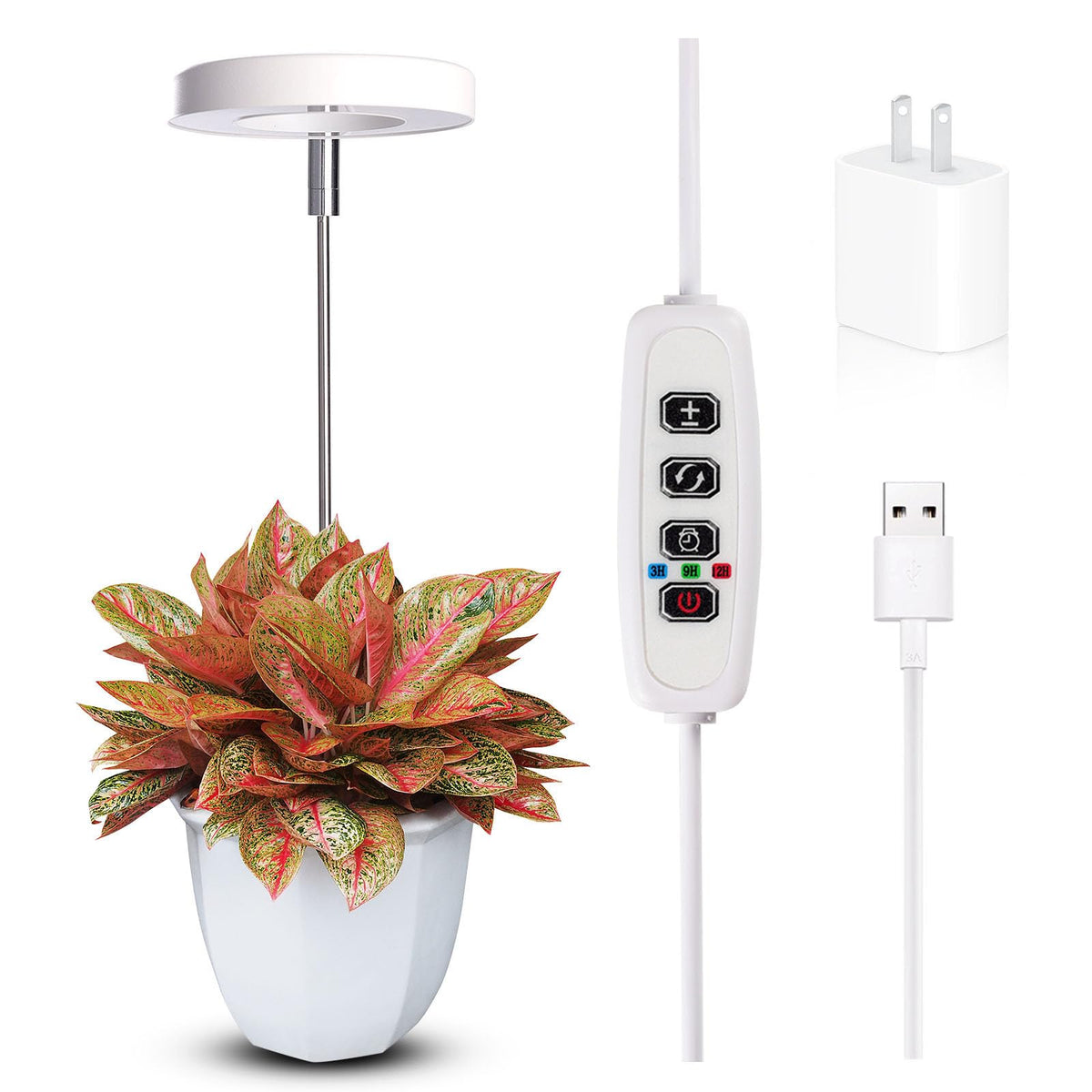 Qicodu grow light for small pot plants with full-spectrum output for healthy growth.