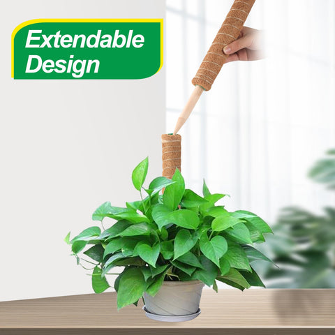 Qicodu natural coir moss pole enhances air flow and root contact