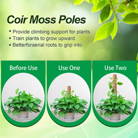 Qicodu 12-inch moss poles provide low-height support for young plants