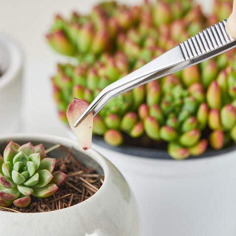 QIEOTE slanted tweezers reaching tight spaces