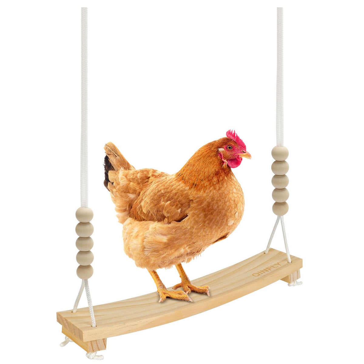 Qinfly arc-shaped chicken swing board provides a snug roost for comfortable perching