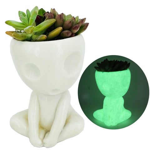 Qingo alien planter with succulent glowing softly for ambient display