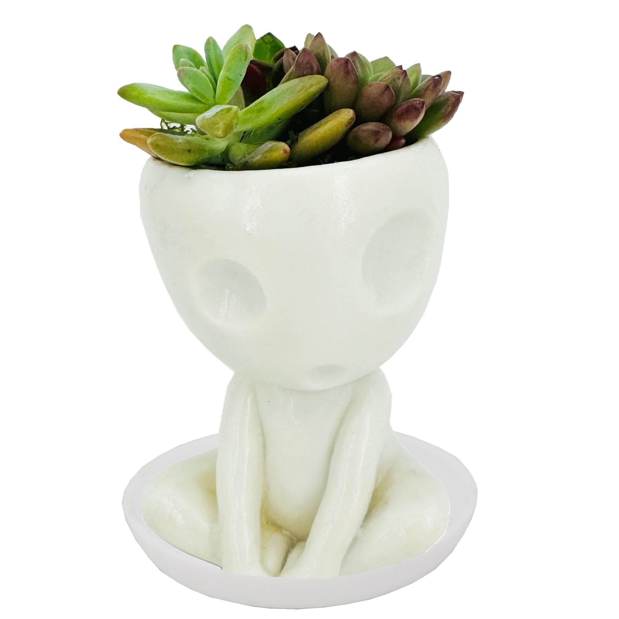 Qingo astro-succulent container ideal for small plants and desk display