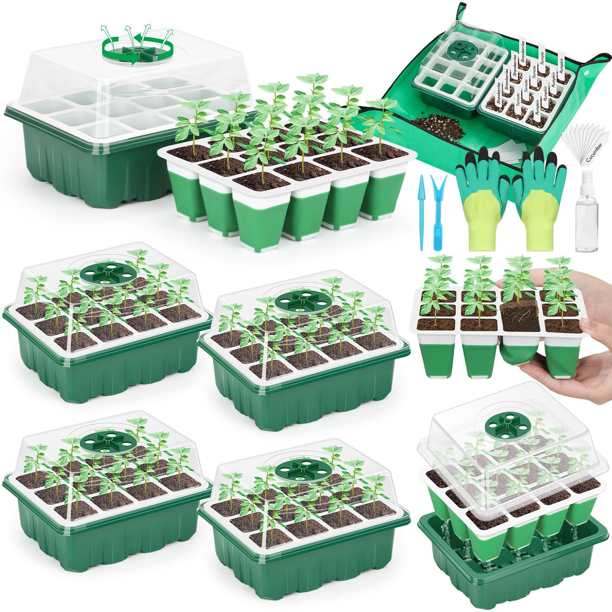 Qinzave 60-cell seed starter tray close-up showing durable silicone for long-lasting germination