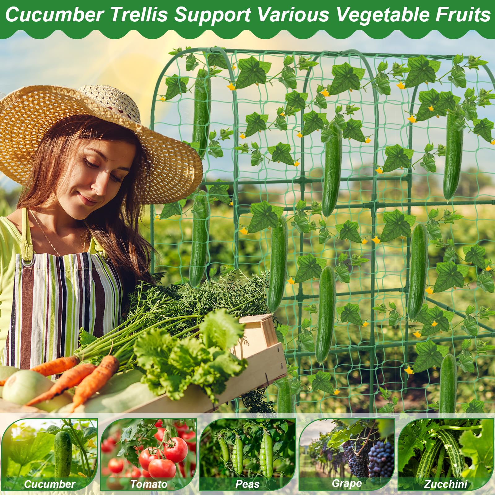 Qinzave garden netting enhances airflow and sun exposure for healthy vines