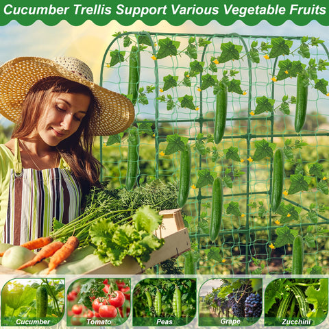 Qinzave garden netting enhances airflow and sun exposure for healthy vines