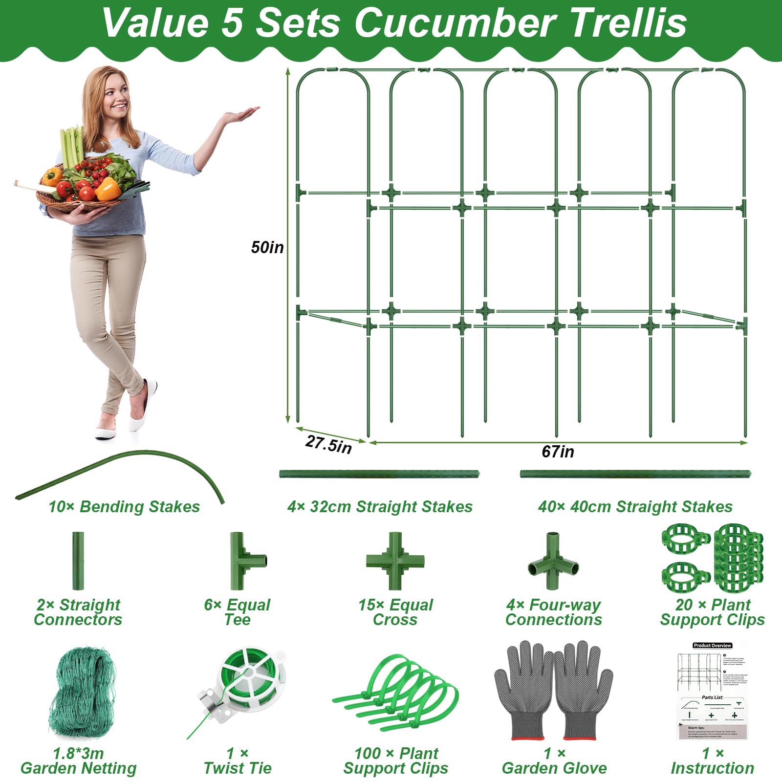 Raised-bed trellis promoting vertical growth and air circulation.