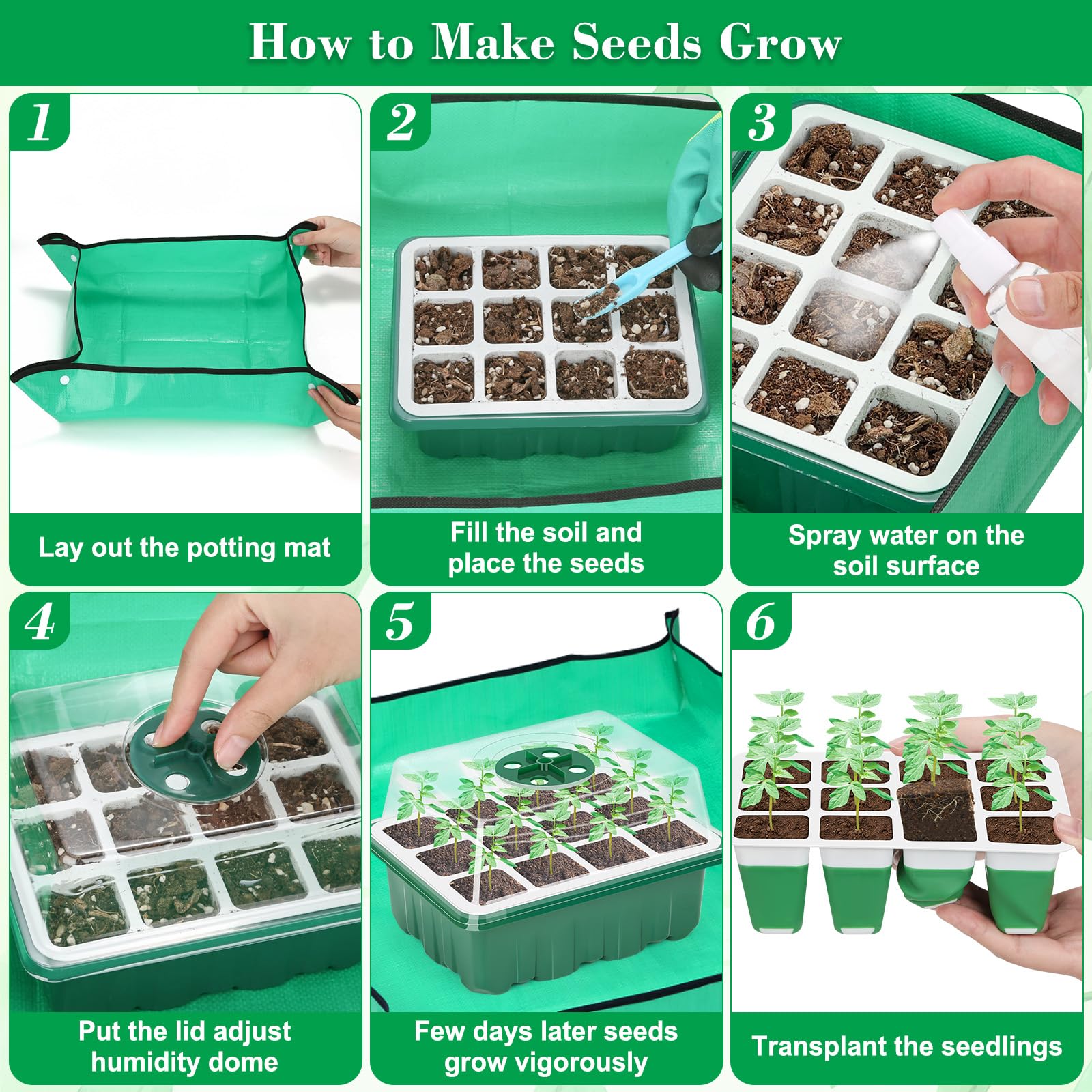 Qinzave eight-pack germination trays conserve space on shelves.