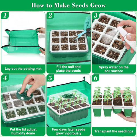 Qinzave eight-pack germination trays conserve space on shelves.