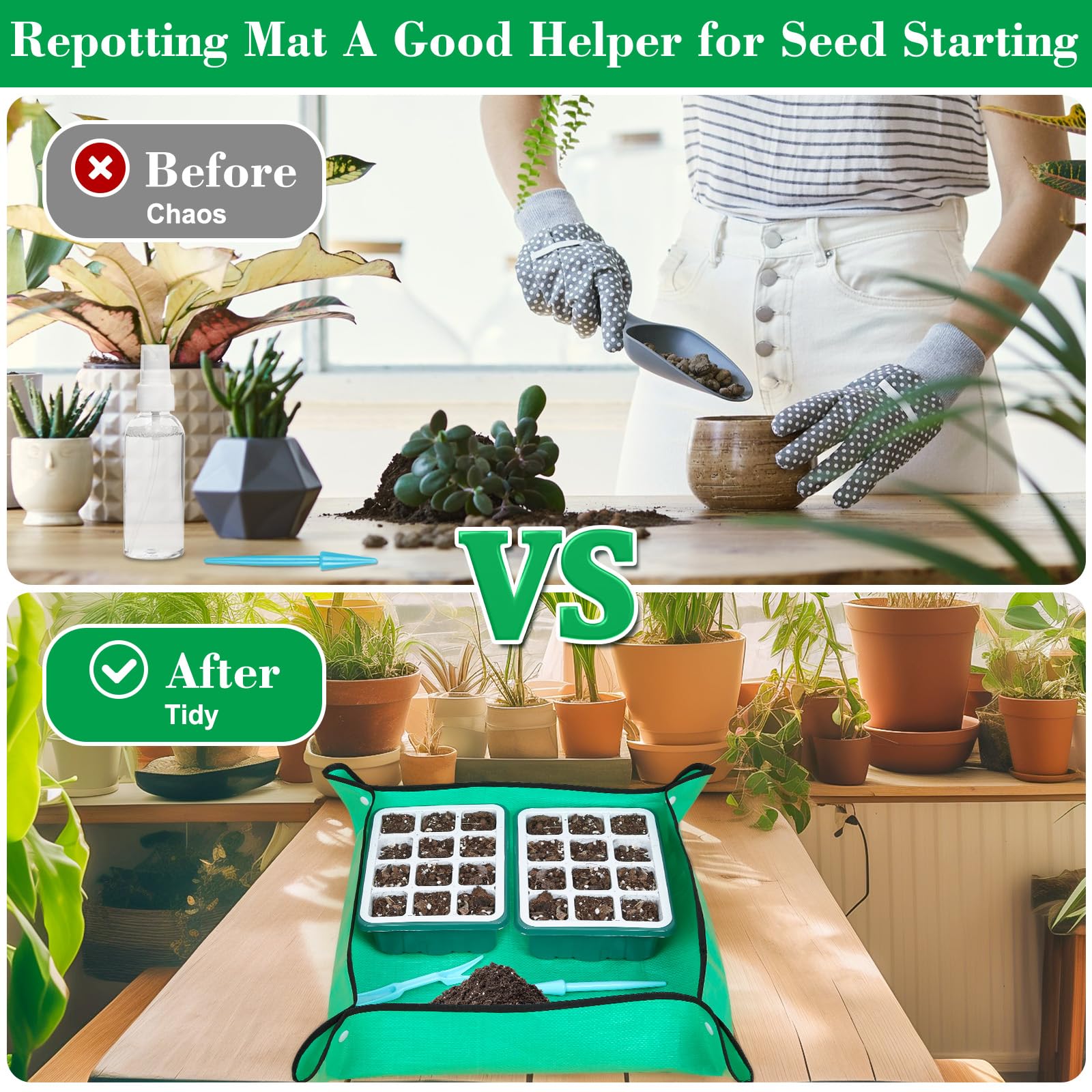 Qinzave seed starting kit on bench with mat and dome
