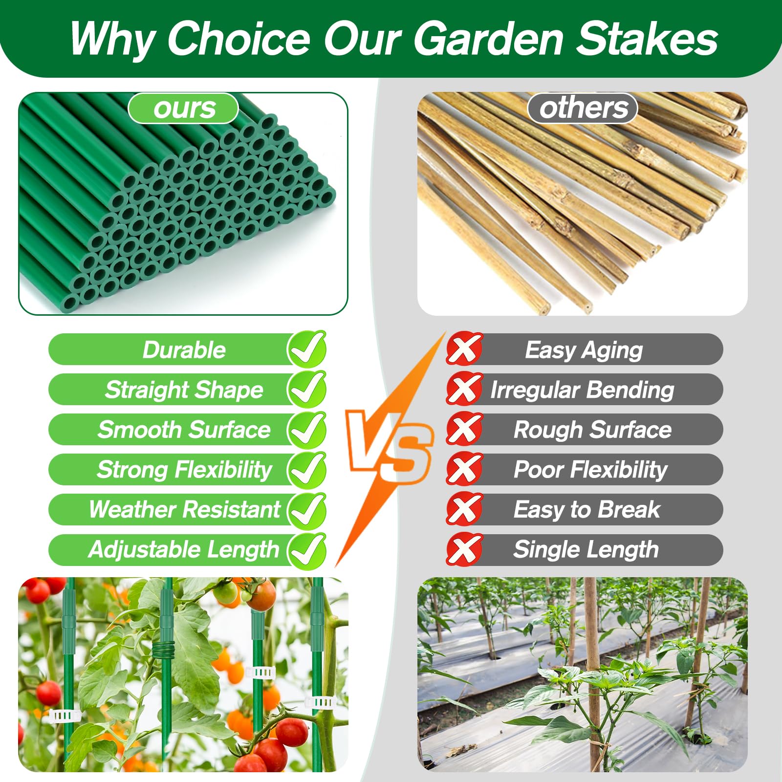 Qinzave triangular tomato cage in action supporting climbing vegetables