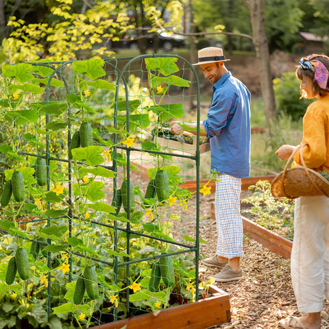 Qinzave versatile outdoor trellis suits cucumbers, peas, zucchini and more