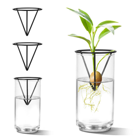 Qiuruoo avocado seed starter vase on a metal stand for stable propagation.