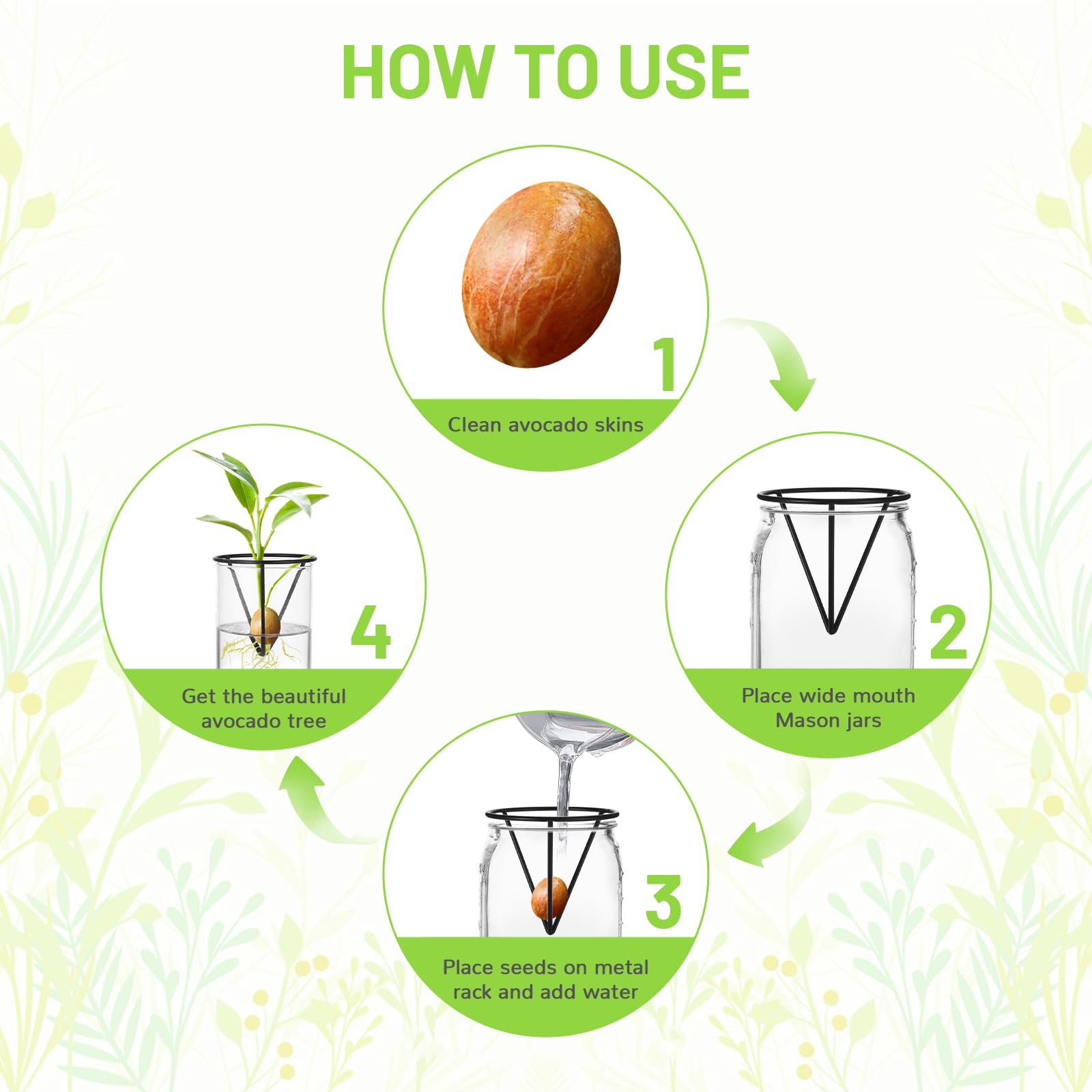 Qiuruoo avocado vase with wide-mouth compatibility for seed growth.