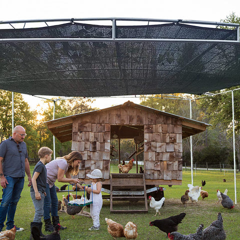QLOFEI shade cloth over greenhouse enhances sun control and airflow