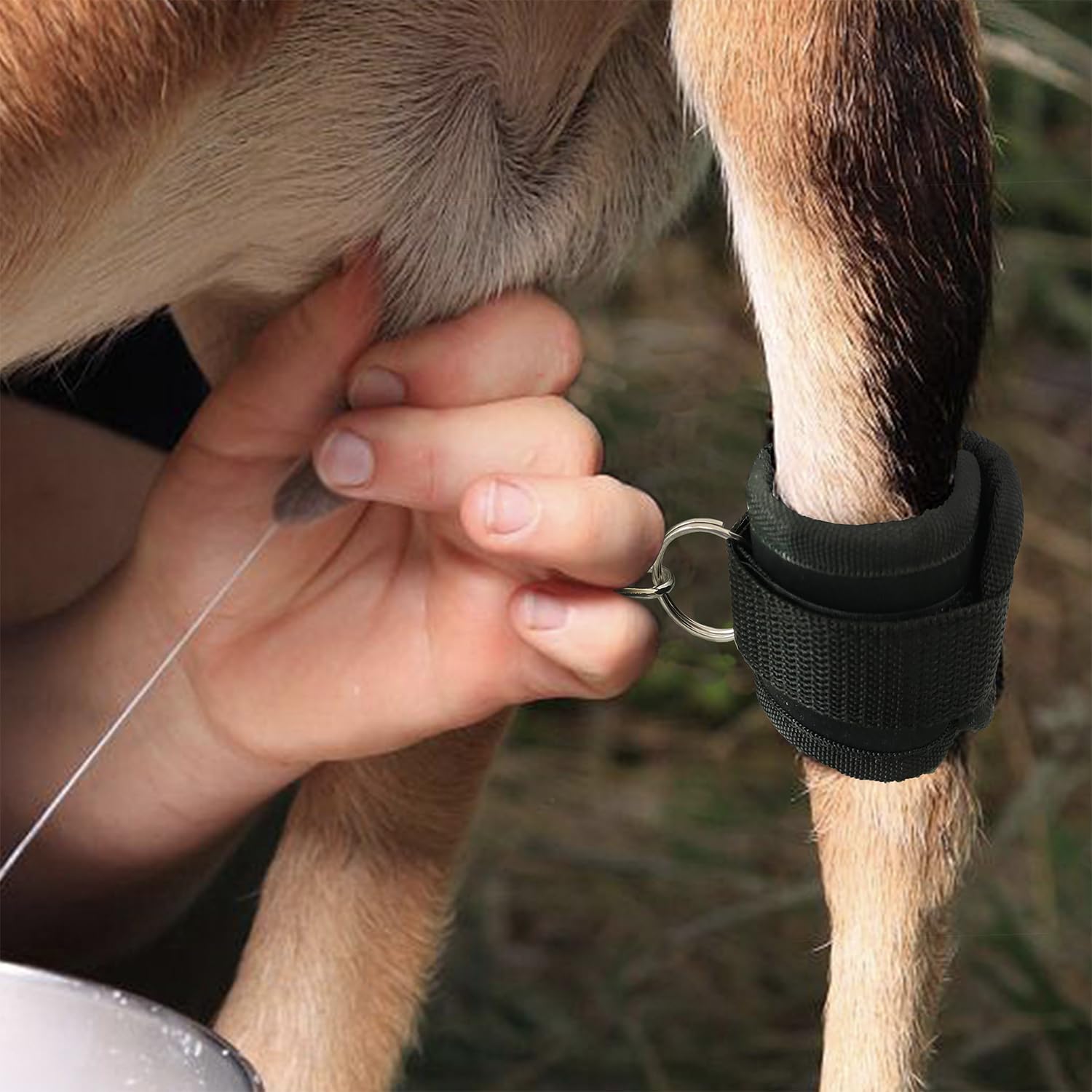 QMARK binding strap pack designed for convenient storage and quick deployment.
