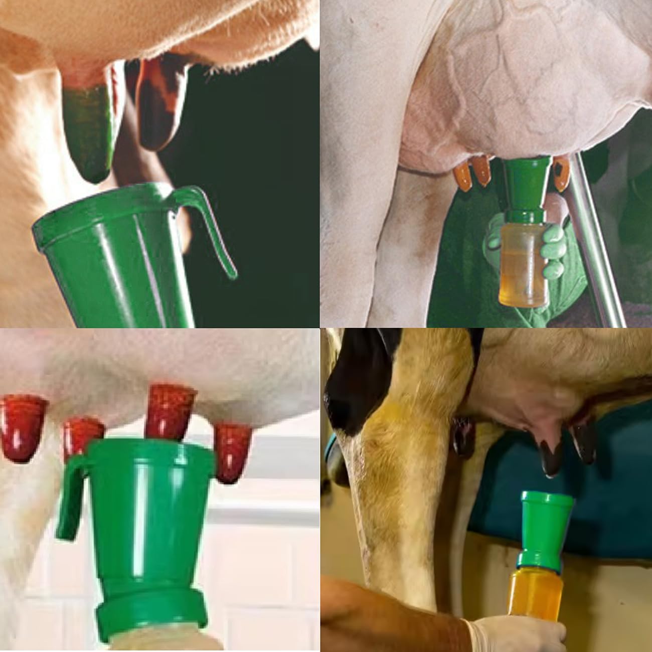 QMARK teat dip cup pack of 2 ready for use.