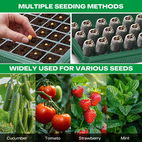 Qmioti durable 40-cell tray resists bending for reuse.