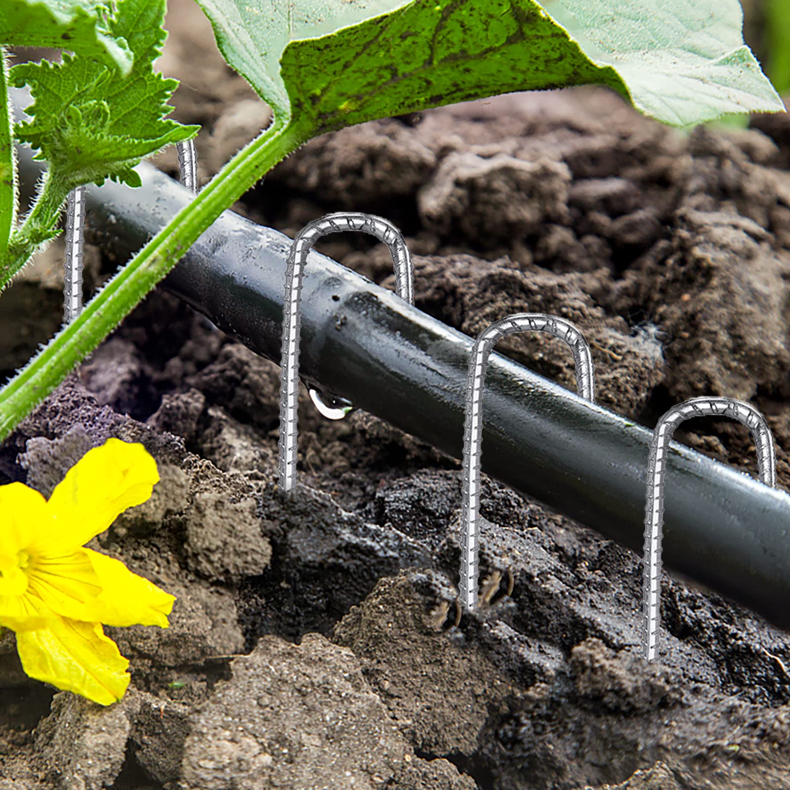 QNLONG stakes penetrate hard ground with sharp ends.