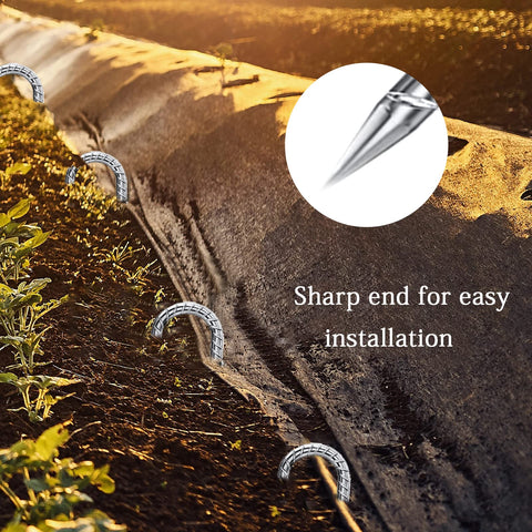 QNLONG six-pack stakes simplify setting up multiple anchors.