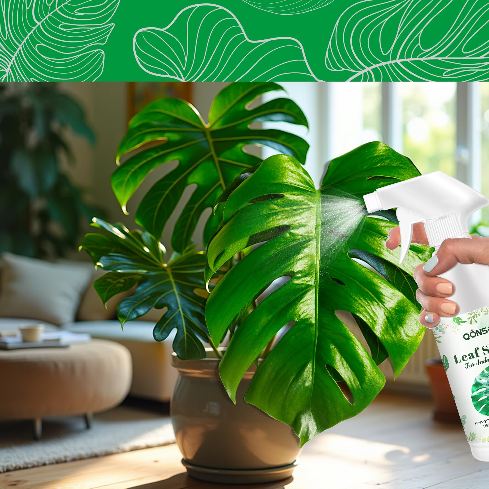 Packaging display of QONS Leaf Shine Spray for home greens