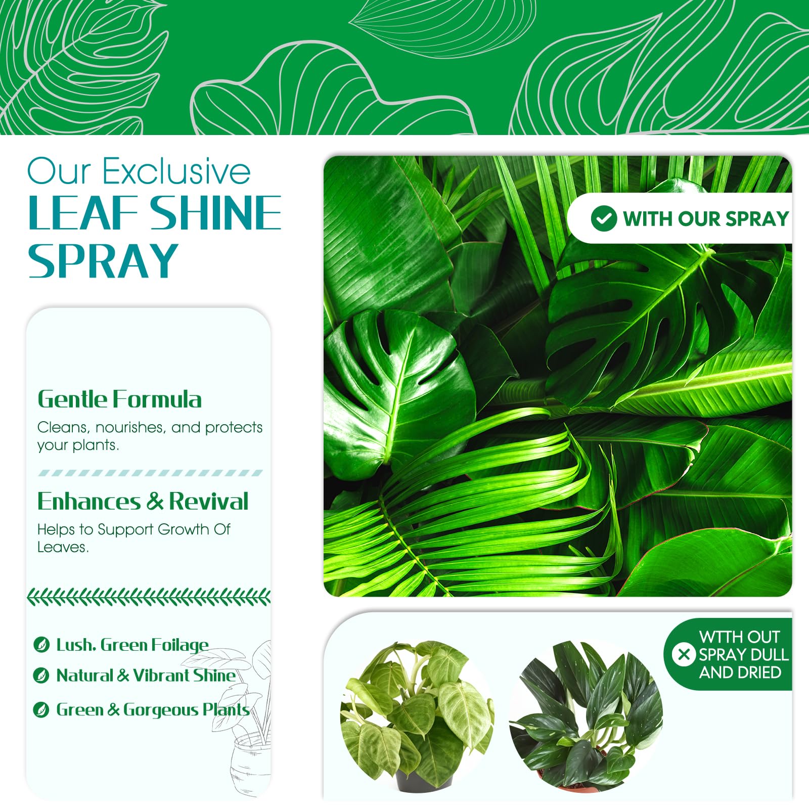 Mist application on plant leaves using QONS Leaf Shine Spray