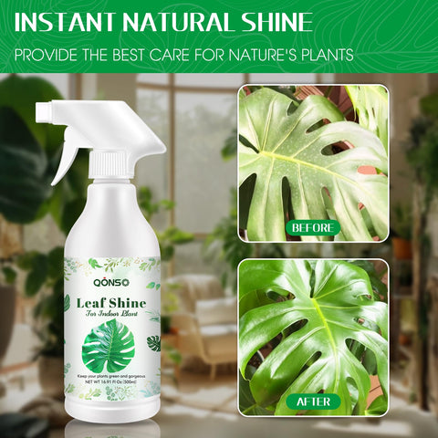 Vibrant leaves gleam after using QONS Leaf Shine Spray