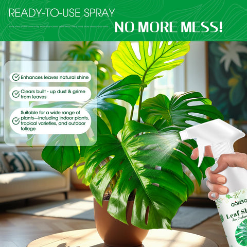 Wipe away excess after spraying QONS Leaf Shine Spray to reveal glow