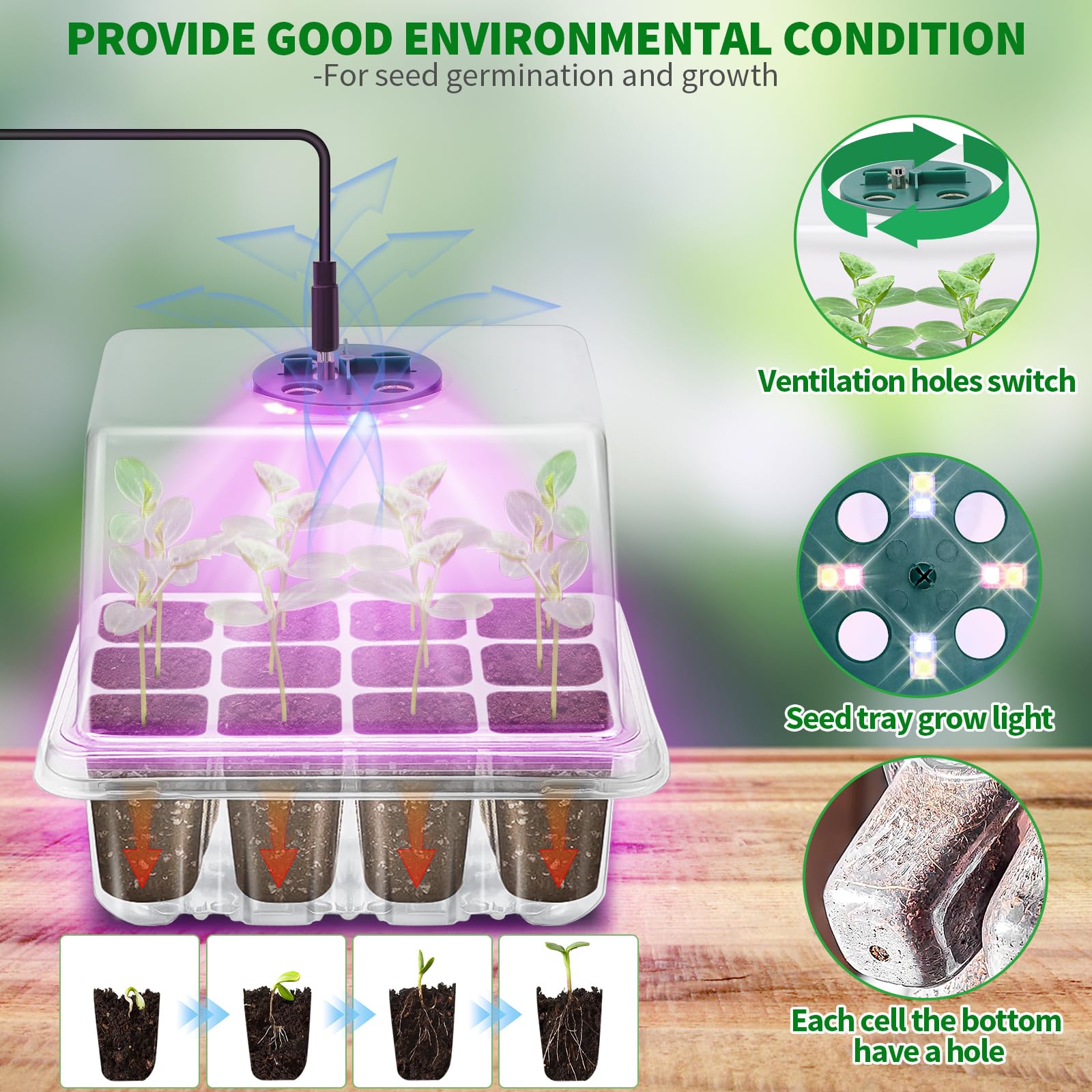 Qoolife seed starter tray with humidity dome promotes stable moisture for seedlings