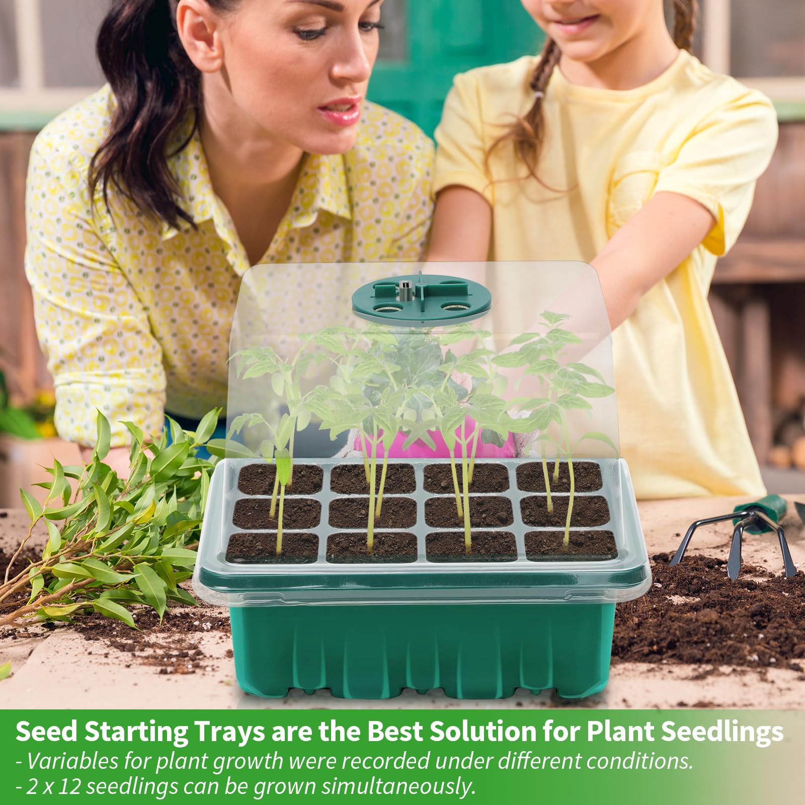 Qoolife seed starter tray growth view shows thriving seedlings under even lighting.
