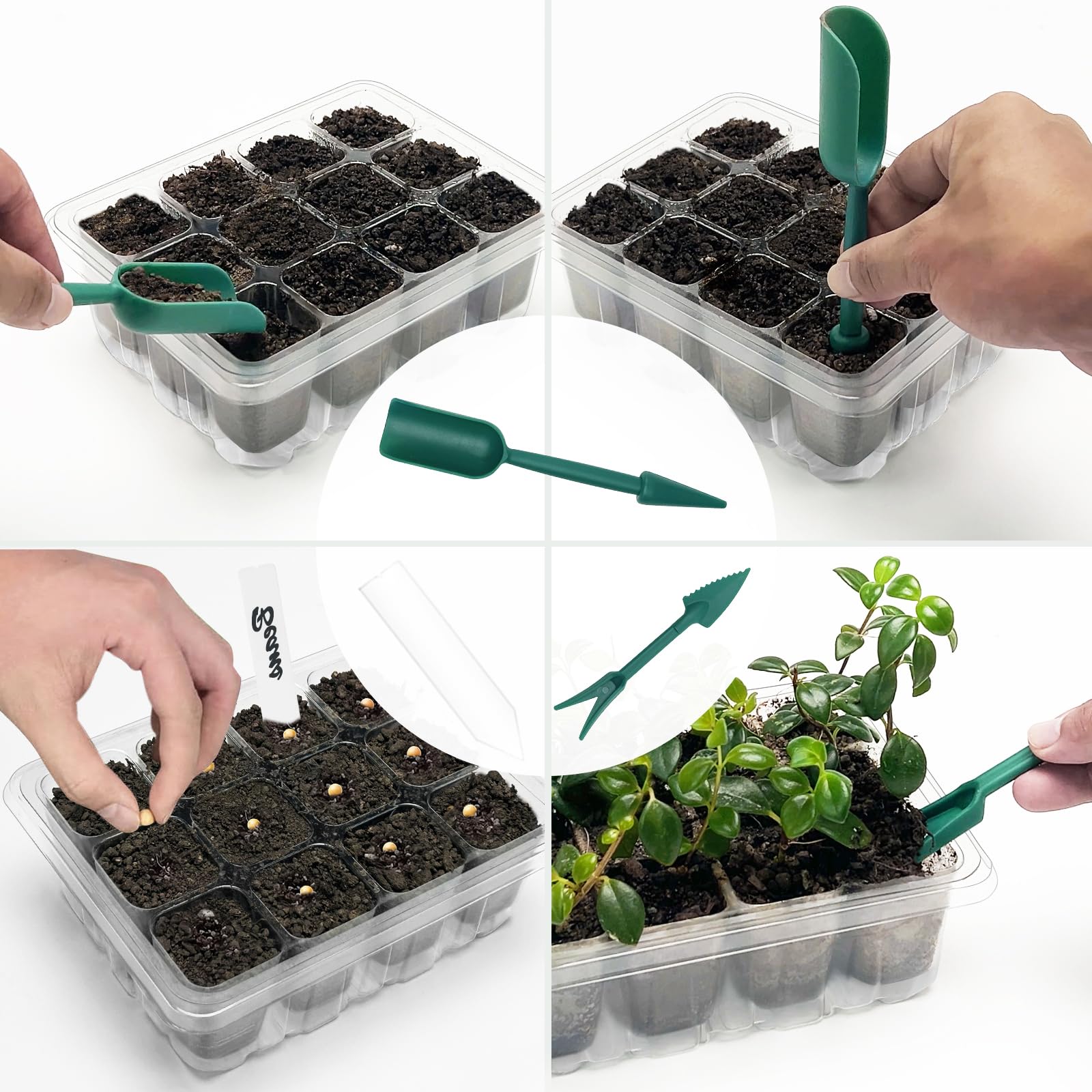 Qoolife seed starter tray transparent design helps monitor seedling progress
