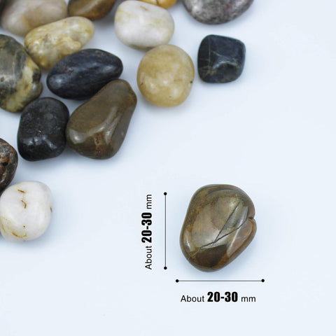 QPEY bonsai garden pebbles decorate with lasting color