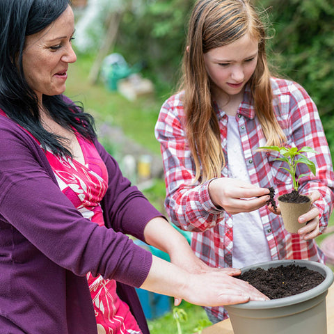 QPEY biodegradable peat pots suitable for indoor outdoor seedling setup