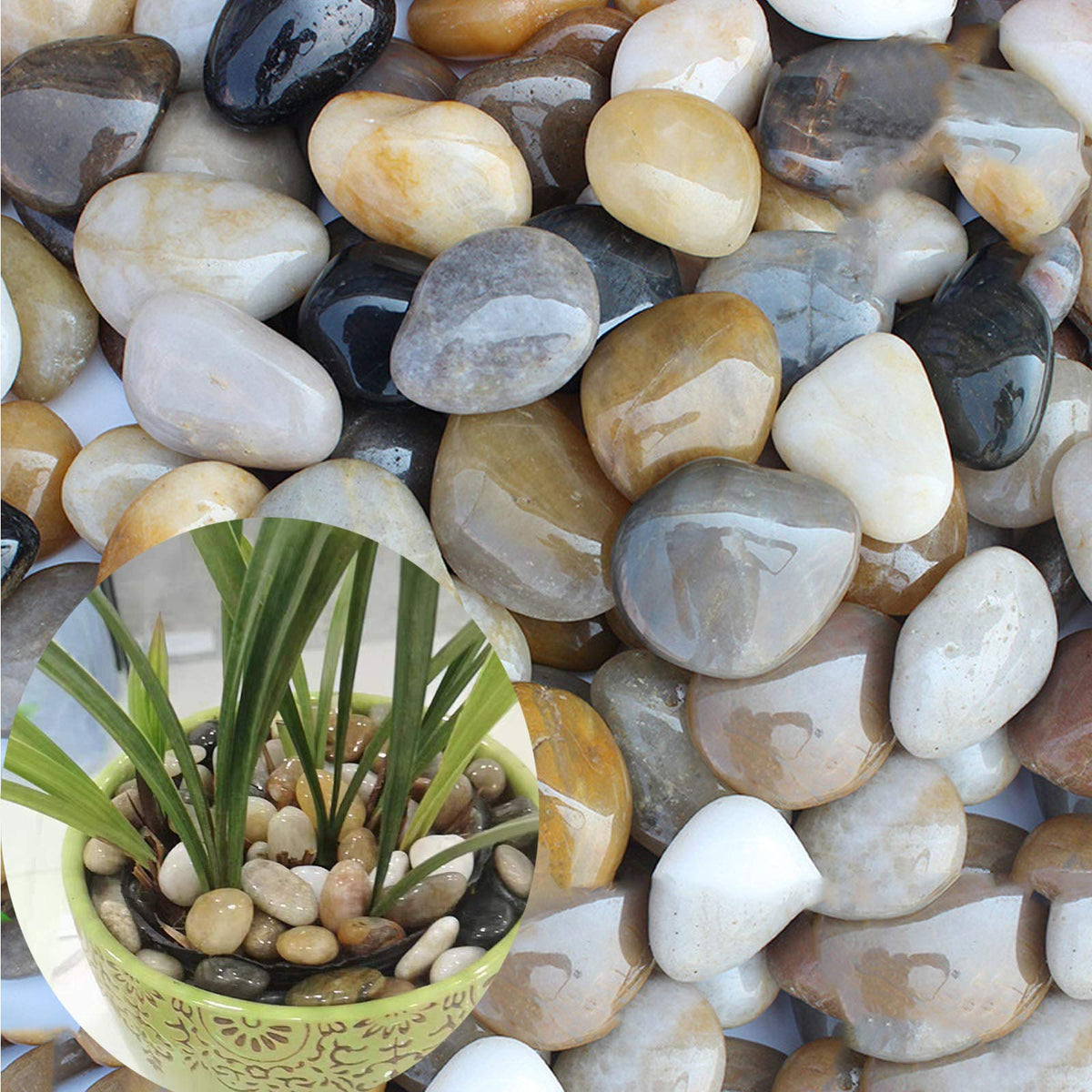 QPEY river rocks for succulents add natural shine to pots