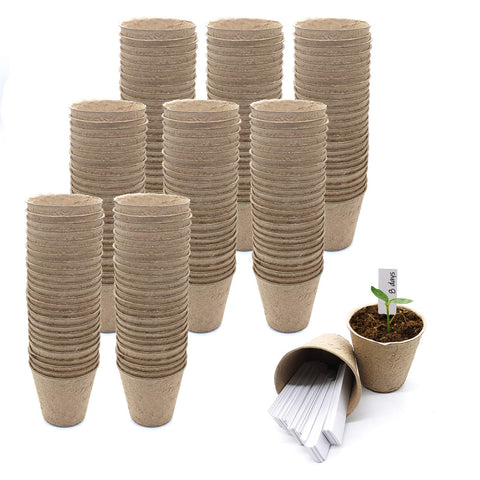 QPEY seed starter peat pots in 3-inch size ideal for early seedling growth and transplant