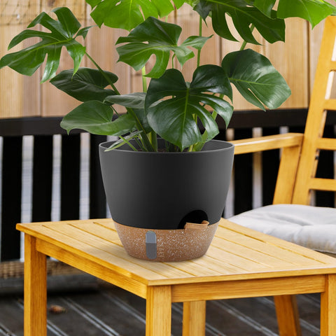 QRRICA drainage holes and deep reservoir promote healthy roots by preventing overwatering.