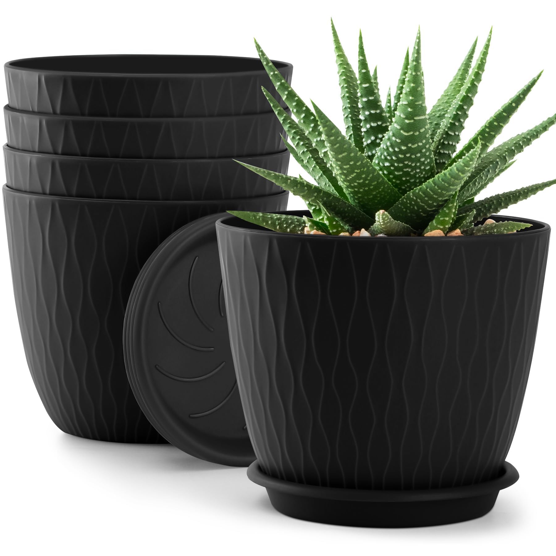 QRRICA 6-inch plant pot with drainage holes for healthy roots.