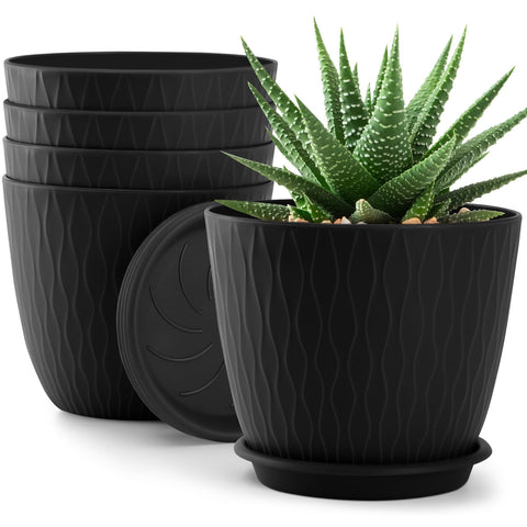 QRRICA 6-inch plant pot with drainage holes for healthy roots.