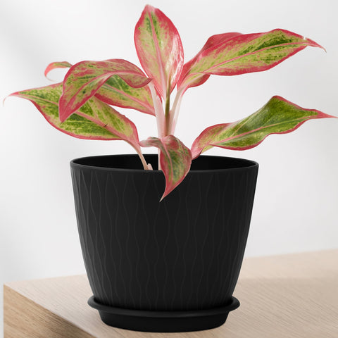 QRRICA indoor-outdoor plant pot for versatile placement.