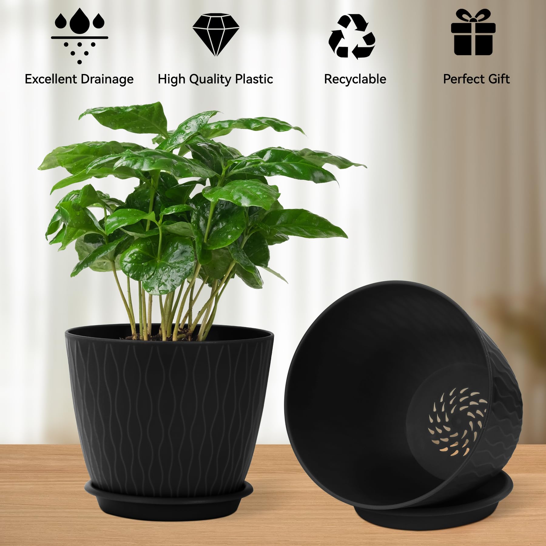 QRRICA modern matte finish pot complements contemporary decor.