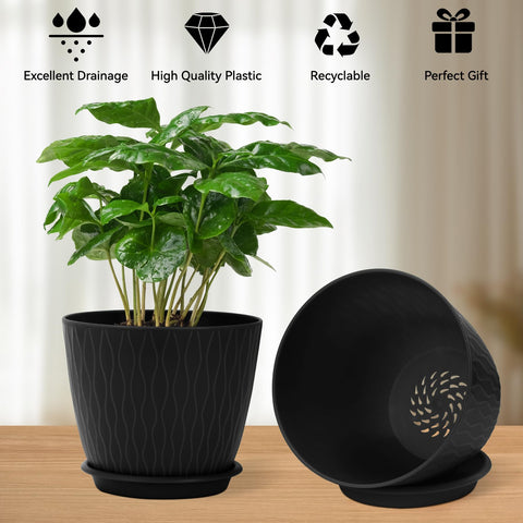 QRRICA modern matte finish pot complements contemporary decor.
