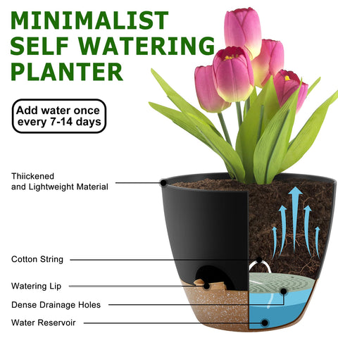 QRRICA 7.5-inch planter with water reservoir for compact spaces.